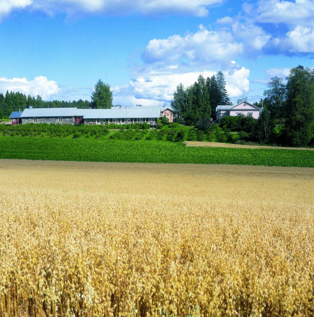 Tertin Kartano Hotel Mikkeli Buitenkant foto